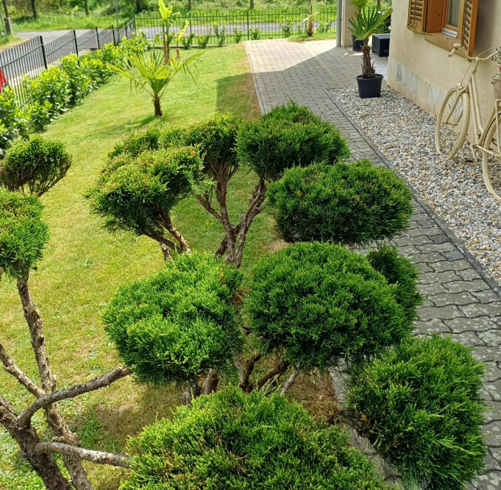 Mediterran Apartman 잘라카로쉬 외부 사진